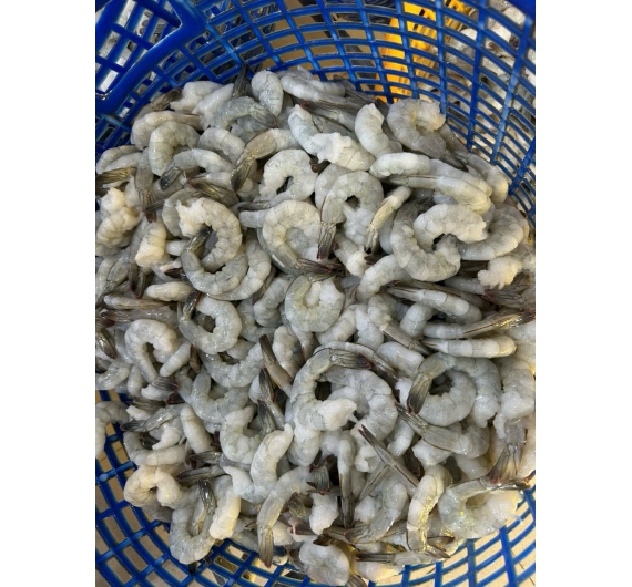 TÔM SÚ NGUYÊN CON ĐÔNG LẠNH